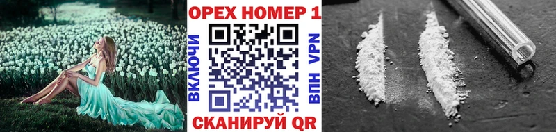 Cocaine Fish Scale  Купить закладки  Одинцово 