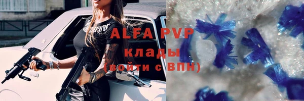шишки Медвежьегорск