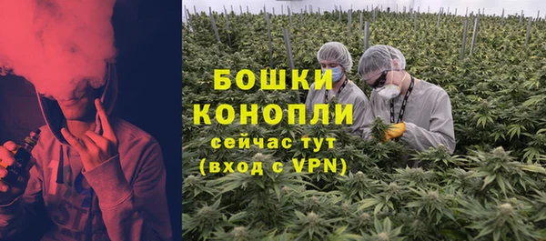 шишки Медвежьегорск