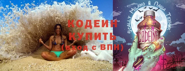 шишки Медвежьегорск