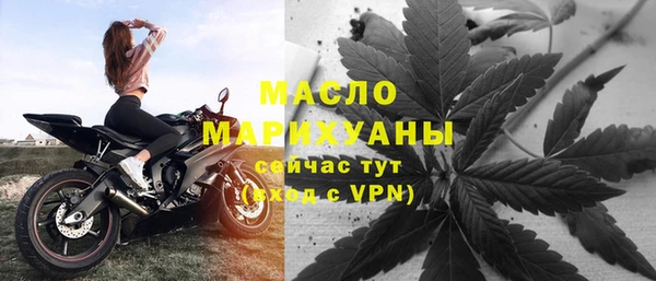 шишки Медвежьегорск