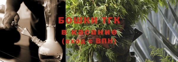 шишки Медвежьегорск