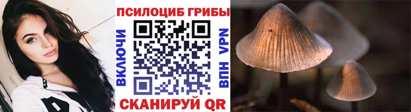 Галлюциногенные грибы Magic Shrooms  Купить  Одинцово 